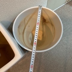 生活雑貨 家庭用品 ガーデニングの画像