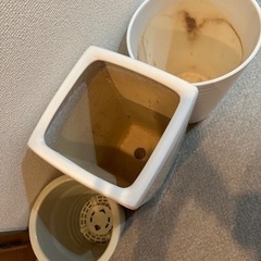 生活雑貨 家庭用品 ガーデニングの画像