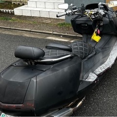 マグザムの画像