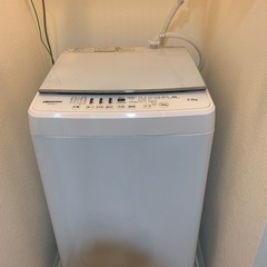 家電 生活家電 洗濯機