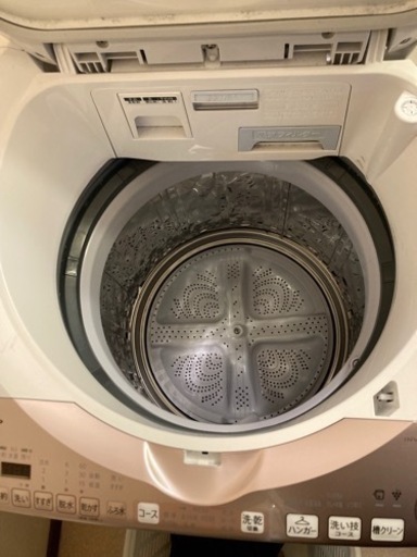 2023年夏購入　洗濯機　8kg