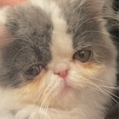 良かったら仲良くして下さい^_^
