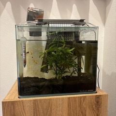 熱帯魚　飼育一式