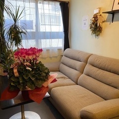 囲碁で癒しを（個人レッスン）の画像