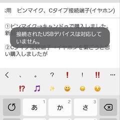 スマホ用　ピンマイク、Cタイプ接続端子(イヤホン)の画像