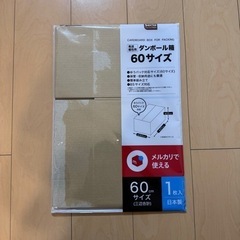 セリア　段ボール60サイズ