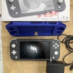 比較的綺麗‼️Nintendo switch light 任天堂...