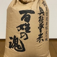 一等米】令和4年 多古米コシヒカリ 10kg（玄米）：千葉県産のお