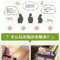 ペット用ドライブボックスの画像