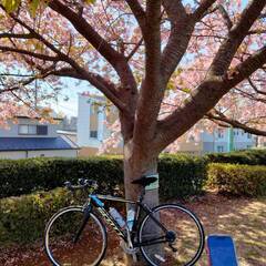 【月か火曜日】一緒にサイクリングをして下さる方！