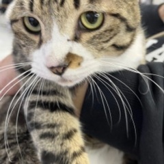 人馴れバツグン⭐️お返事します(=^ェ^=)まさるくん