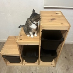 IKEA収納家具の画像