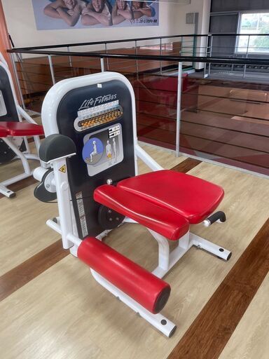Life Fitness　トレーニングマシン（美品）➃