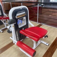 Life Fitness　トレーニングマシン（美品）➃