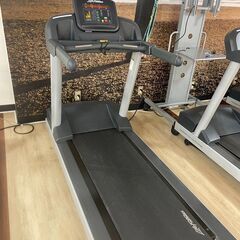 Life Fitness　トレーニングマシン（美品）⑯
