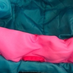雪遊び スキーウェア スノーウェア つなぎ キッズ ウェア IGNIO 女の子スポーツ スキーの画像