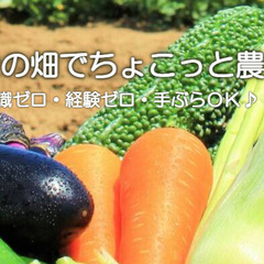 🌻料金無料🌻2024年3月24日（日）「枚方茄子作5丁目農園」プ...