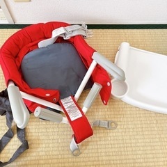 イングリッシーナ  の画像