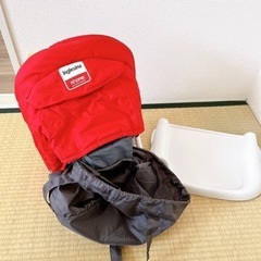 イングリッシーナ  の画像