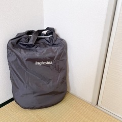 イングリッシーナ  の画像