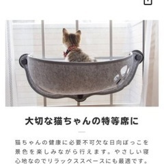 靴/バッグ 靴 スニーカーの画像
