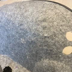 靴/バッグ 靴 スニーカーの画像