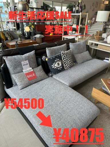 【新生活応援】テレビ　カウチソファ　レンジボード  【SALE開催中！】