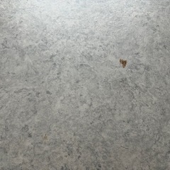 3月31日まで　こたつ机　の画像