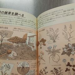 取引完了　中古 　自由研究図鑑　（投稿記事の内容に目を通していただき、ご理解、ご了承いただいてからお問い合わせください。）の画像