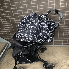 A型ベビーカー、ランフィーリノンの画像