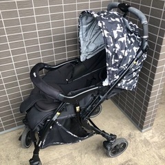 A型ベビーカー、ランフィーリノン