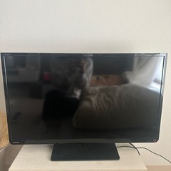 家電 テレビ 液晶テレビ