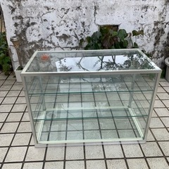 ガラス　ショーケース　(M)