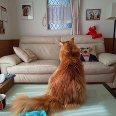 3人掛け革張りソファーの画像