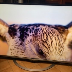 シャープ SHARP 4K 50インチ 50型 LC-50US5 2018年製
