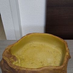 爬虫類水入れ 未使用品の画像