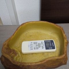 爬虫類水入れ 未使用品の画像