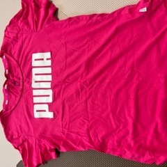 PUMA  Tシャツの画像