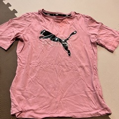 PUMA  Tシャツの画像
