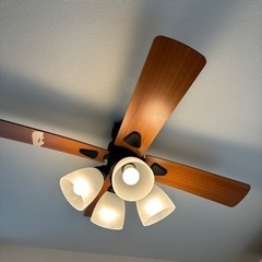 家具 照明器具
