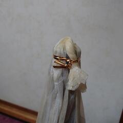 森伊蔵🎵1,800ml🎵の画像