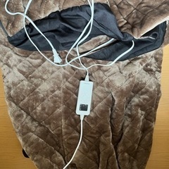 値下げしました！こたんぽの画像