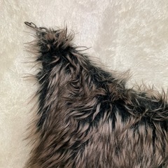 服/ファッション 毛皮 レディース メンズの画像