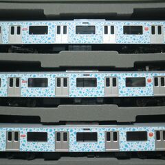 Nゲージ TOMIX 伊豆急行 3000系(アロハ電車)セット  室内灯付きの画像