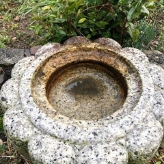 手水鉢　直径約50㎝の画像