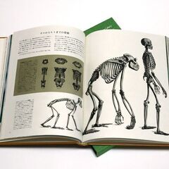 タイムライフブックス Life Nature Library 26巻の画像