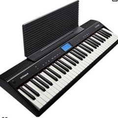 Roland ローランド/GO-61P GO:PIANOの画像