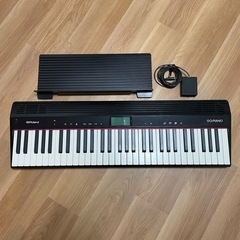 Roland ローランド/GO-61P GO:PIANOの画像