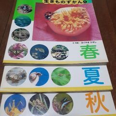 学校のまわりの生き物図鑑