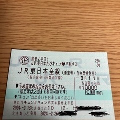 【本日午前中まで対応可能】JR東日本たびキュン早割パス